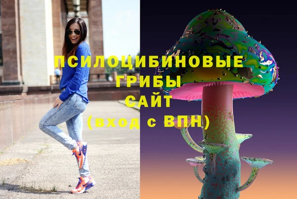дживик Богородск