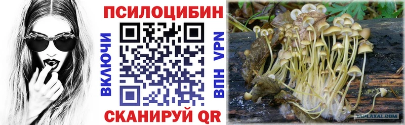 Галлюциногенные грибы мицелий  Волгореченск 